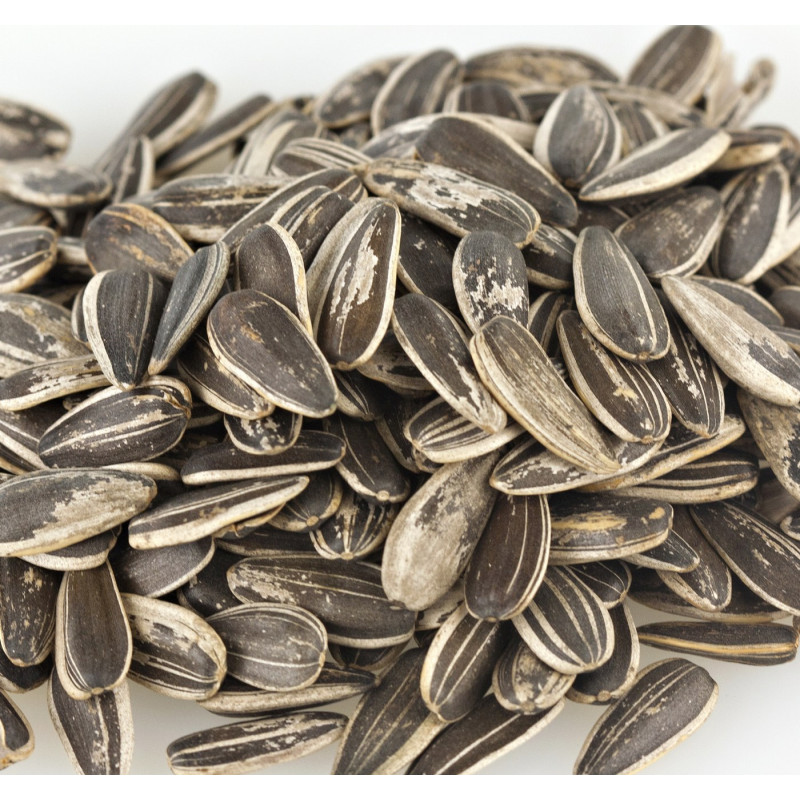 Sweet Gourmet Sweetgourmet Sunflower Seeds In Shell Roasted No Salt