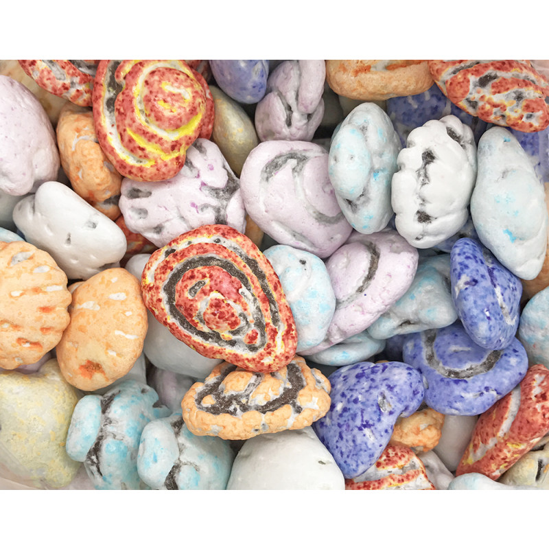 Sweet Gourmet SweetGourmet Candy Coated Milk Chocolate Beach Seashells