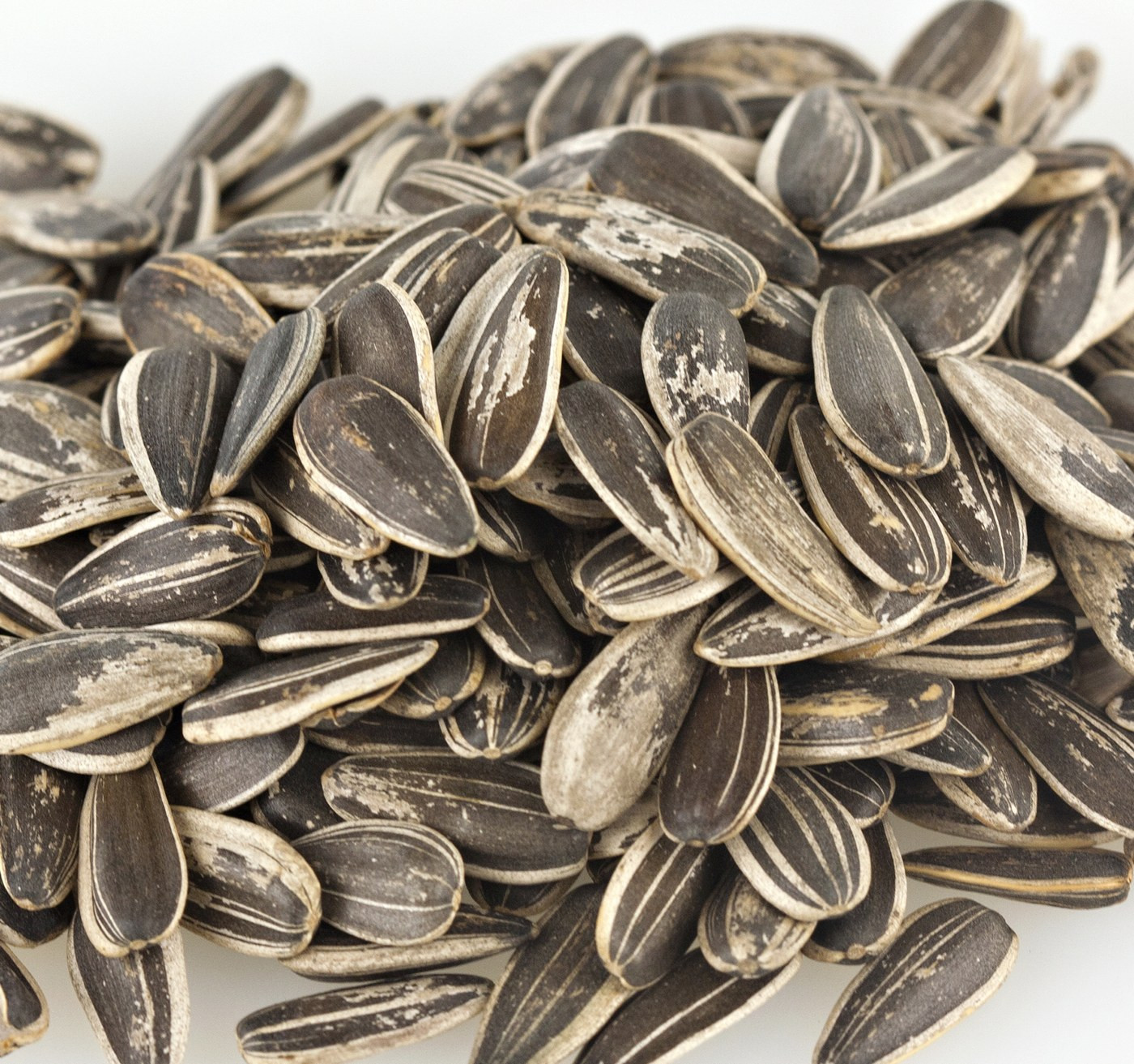 Sweet Gourmet SweetGourmet Sunflower Seeds, InShell