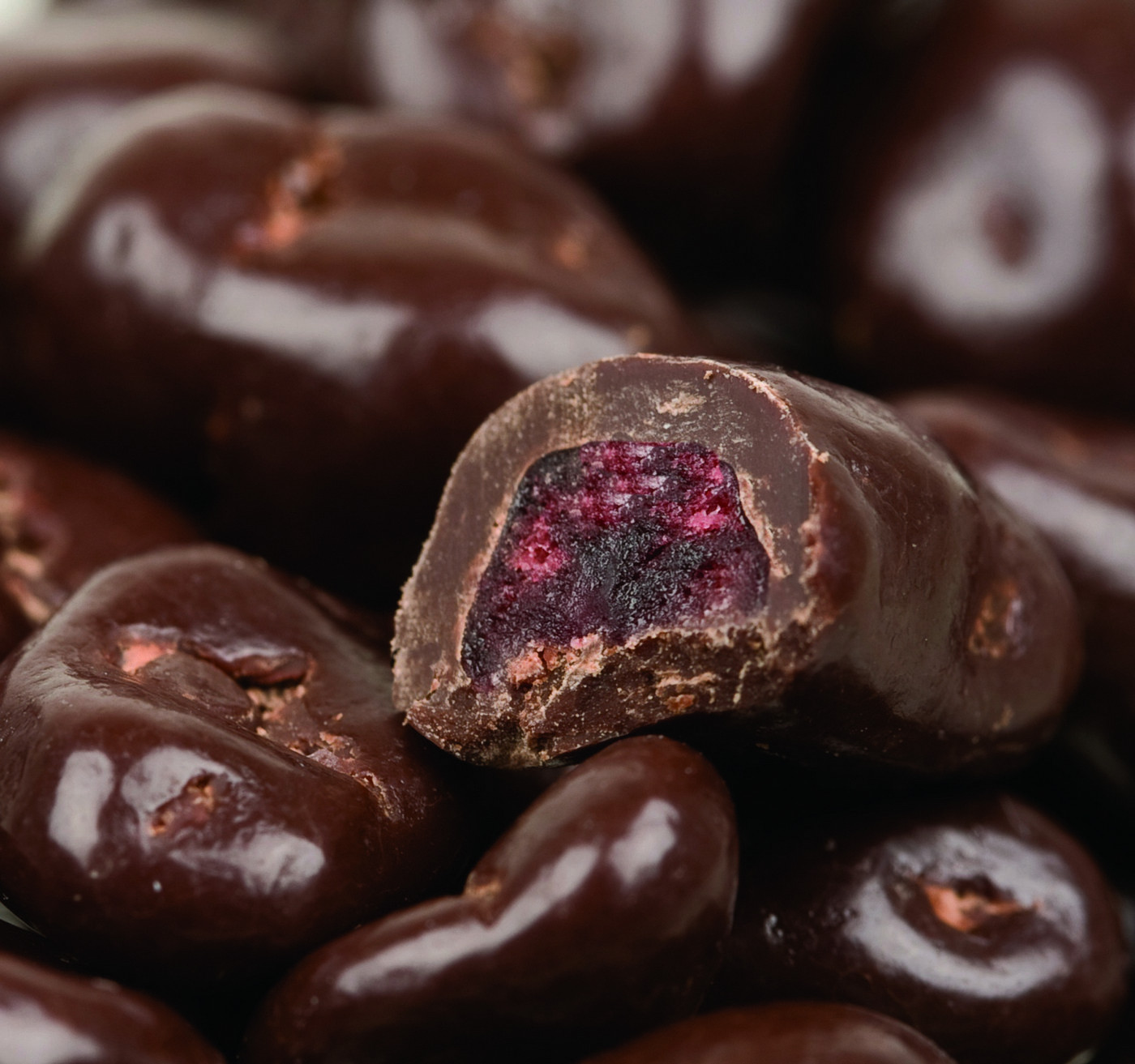 Sweet Gourmet SweetGourmet Dark Chocolate Dried Cranberries