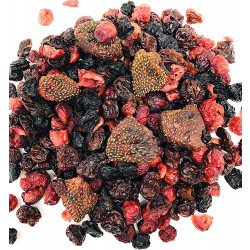 SweetGourmet Dried Mixed Berries Strawberry-Cranberry-Blueberry-Cherry